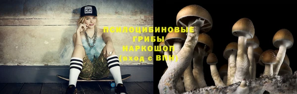 первитин Новодвинск
