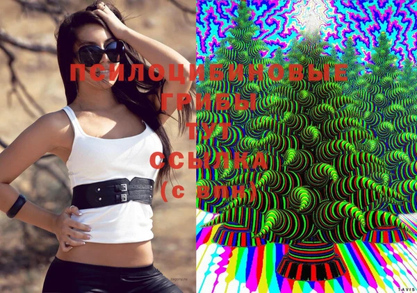 ПСИЛОЦИБИНОВЫЕ ГРИБЫ Новокубанск