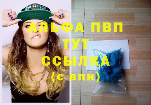 первитин Новодвинск