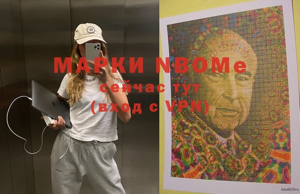 первитин Новодвинск