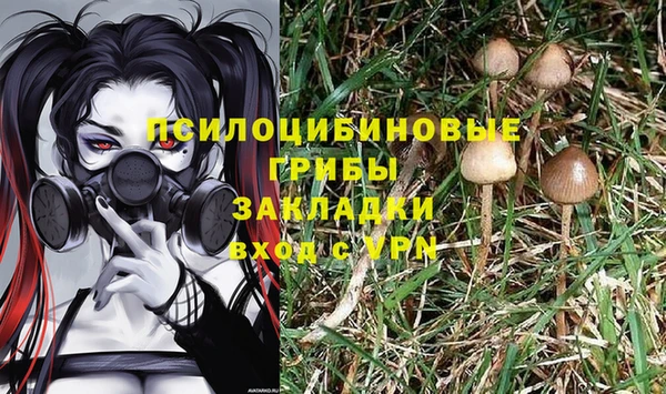 ПСИЛОЦИБИНОВЫЕ ГРИБЫ Новокубанск