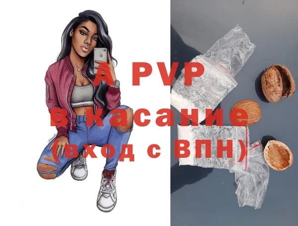 первитин Новодвинск