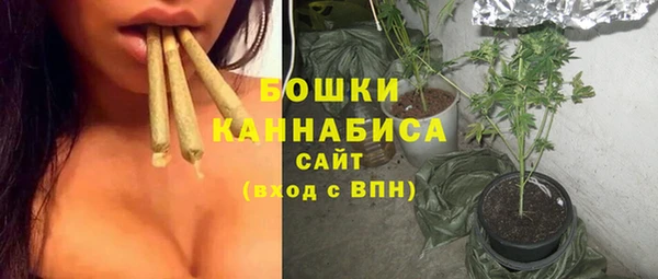 стафф Верхний Тагил