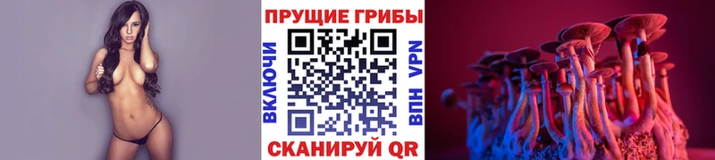 как найти   ссылка на мегу ONION  Псилоцибиновые грибы Cubensis  Лермонтов 